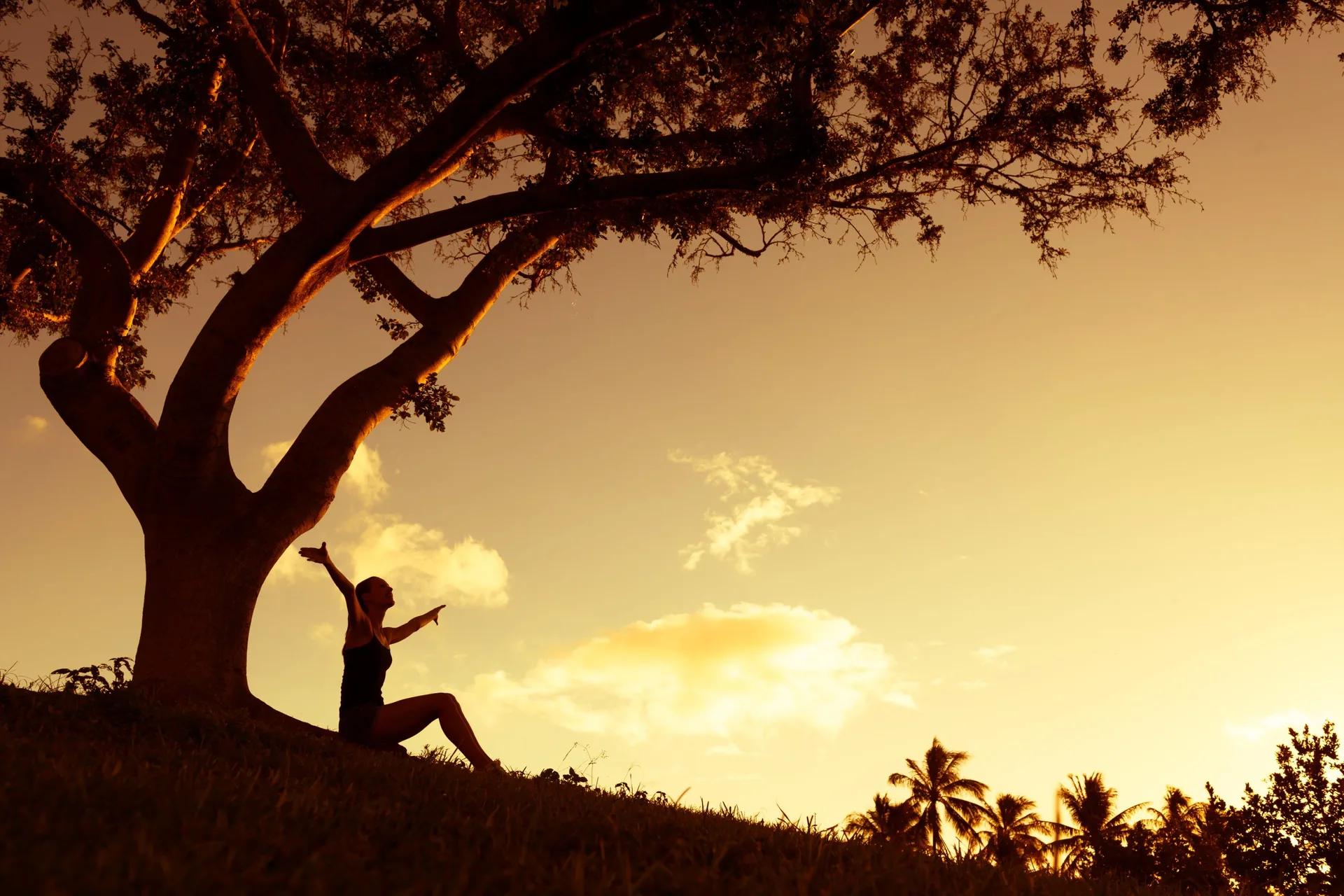 Moderation as a Path to Healing Stories of Recovery and Redemption