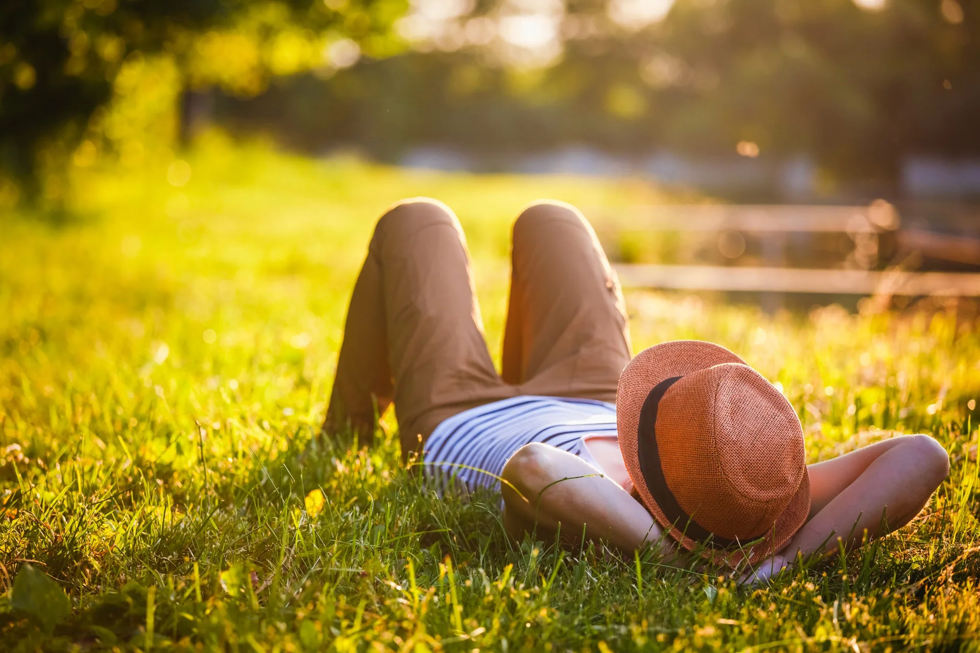 Creating a Stress-Free Lifestyle Strategies for Effective Stress Management