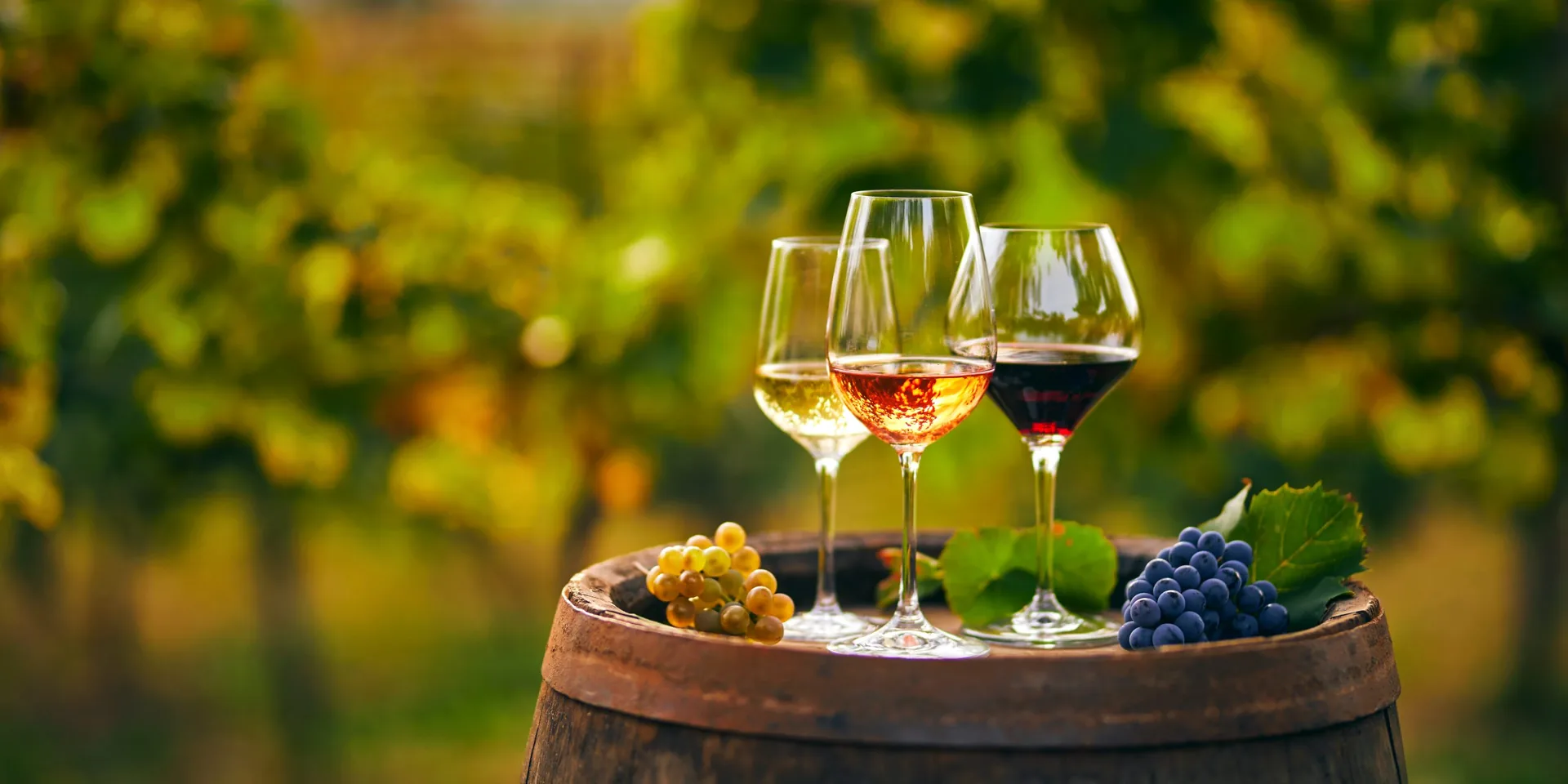three-glasses-white-rose-red-wine