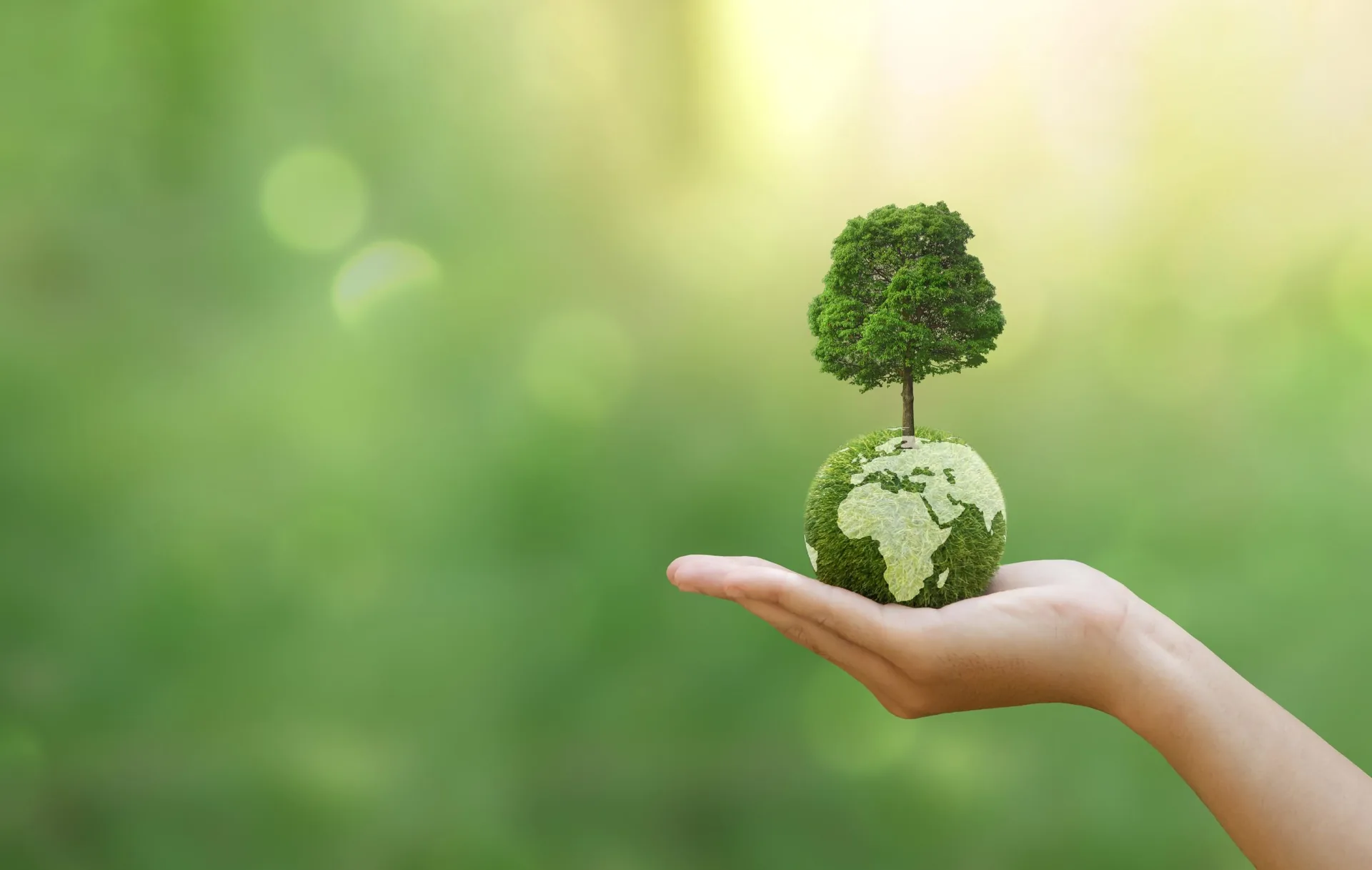 Hand,Of,Human,Holding,Green,Earth,With,Tree,For,Esg,