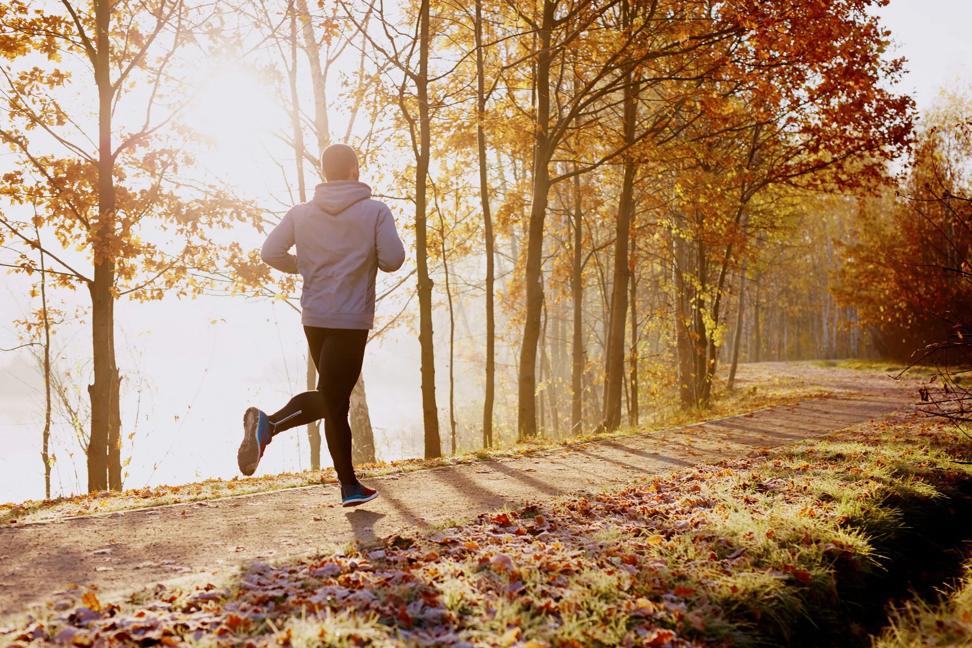 Man,Running,In,Park,At,Autumn,Morning.,Healthy,Lifestyle,Concept