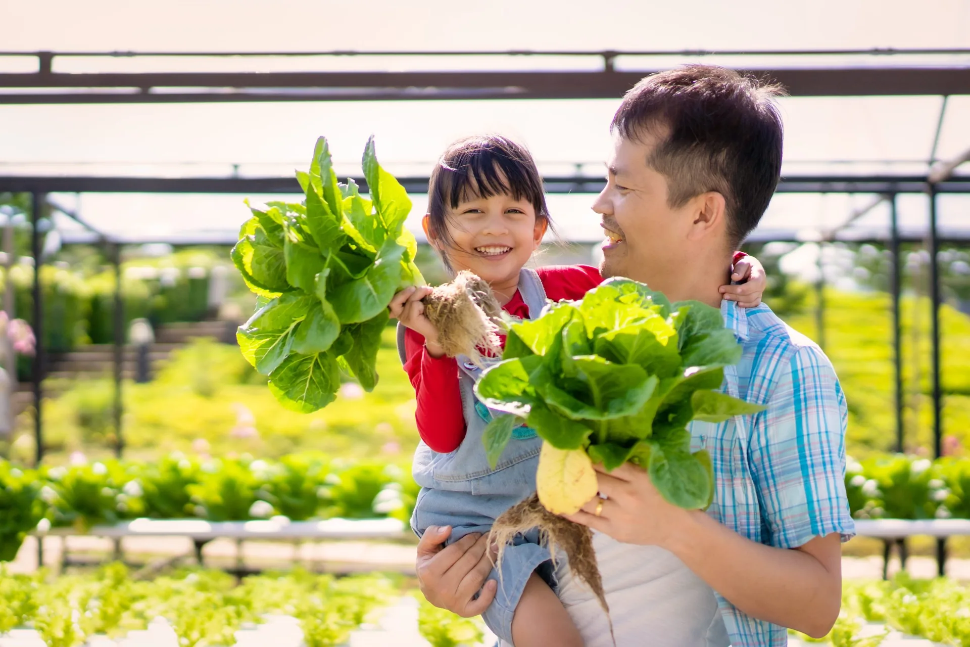 Epigenetics: The Link Between Environment and Genome