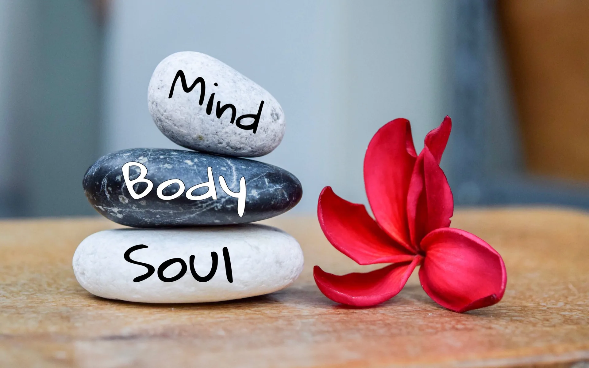 holistic-health-concept-zen-stones-deepa