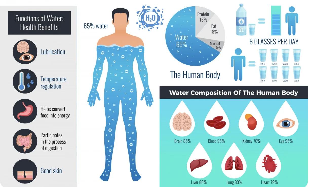 Beyond the Basics: Hidden Risks of Chronic Dehydration