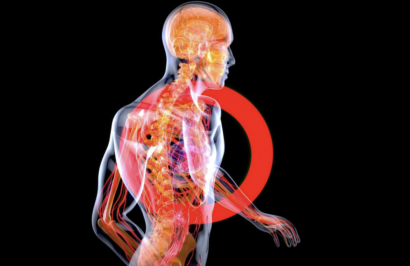 The Vagus Nerve & Nervous System Regulation